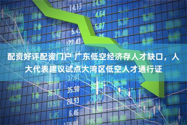 配资好评配资门户 广东低空经济存人才缺口，人大代表建议试点大湾区低空人才通行证